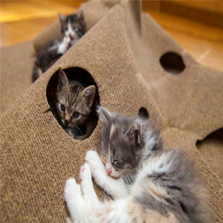 Cat Play Carpet