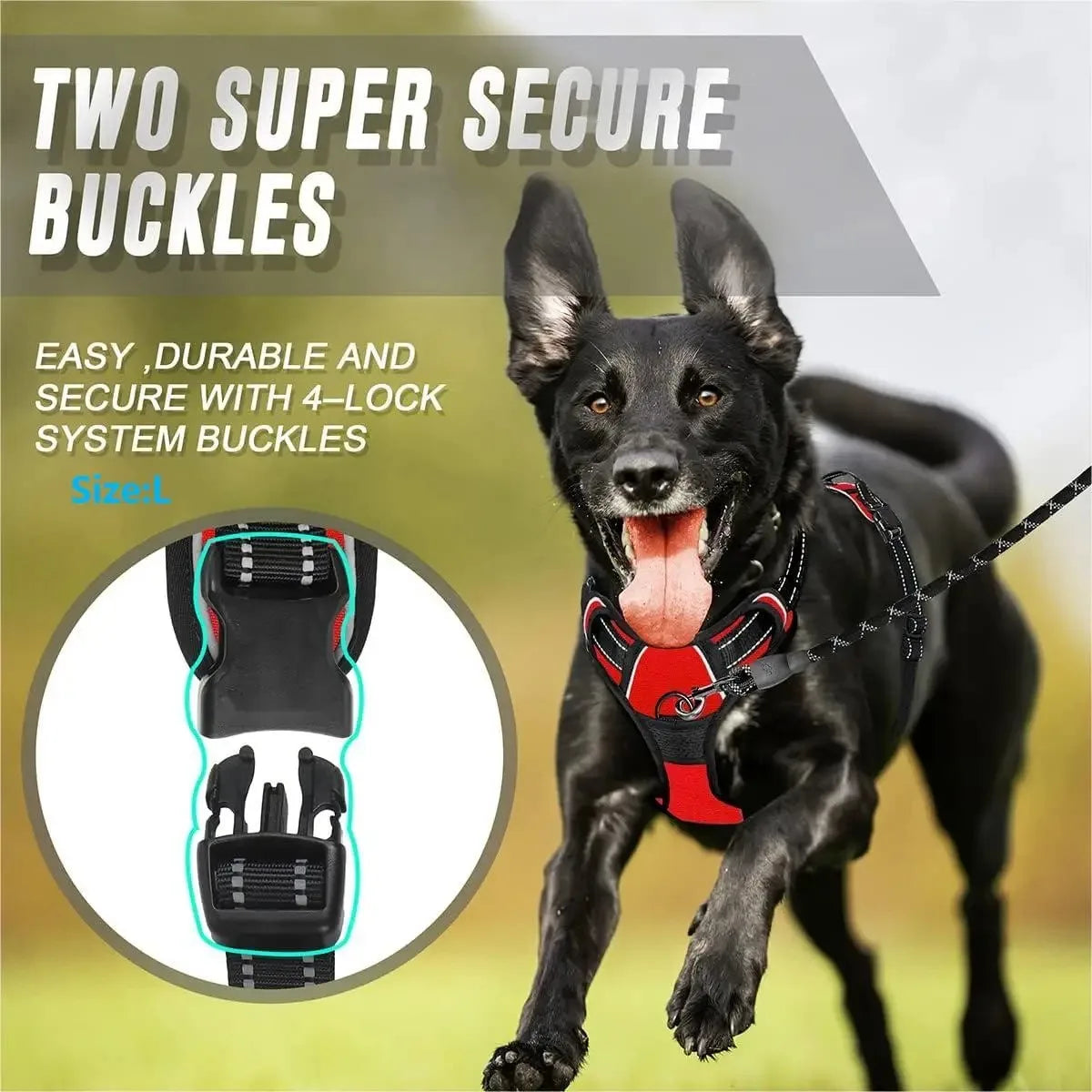 Stylish and Comfortable Dog Collars Harness Set with Leash - Perfect for Medium and Small Puppies - Premium Leather Puppy Accessories for All Seasons!