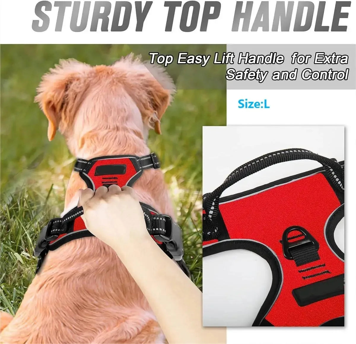 Stylish and Comfortable Dog Collars Harness Set with Leash - Perfect for Medium and Small Puppies - Premium Leather Puppy Accessories for All Seasons!